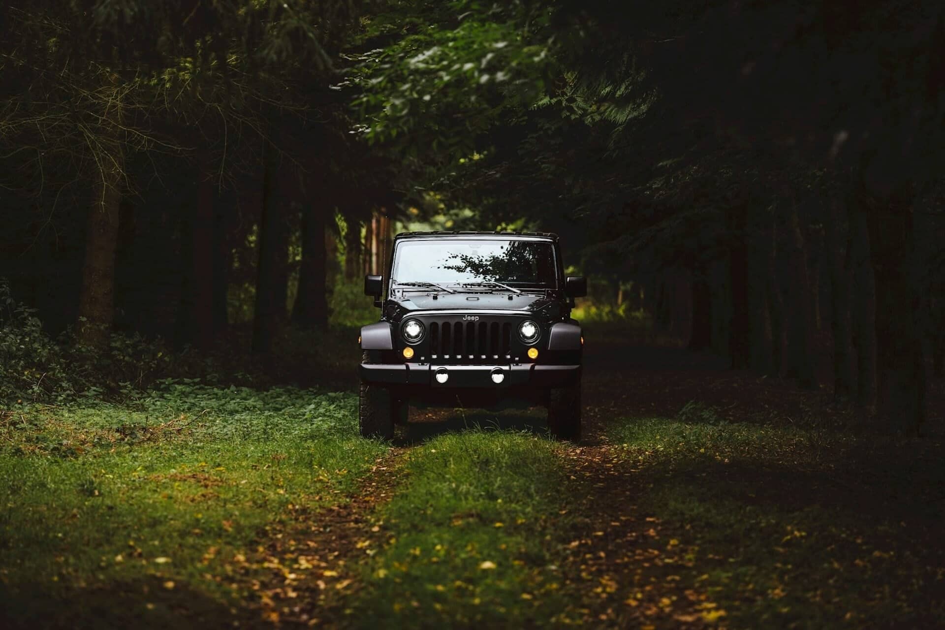 A Comprehensive Guide to Finding the Perfect 2024 Jeep Grand Cherokee